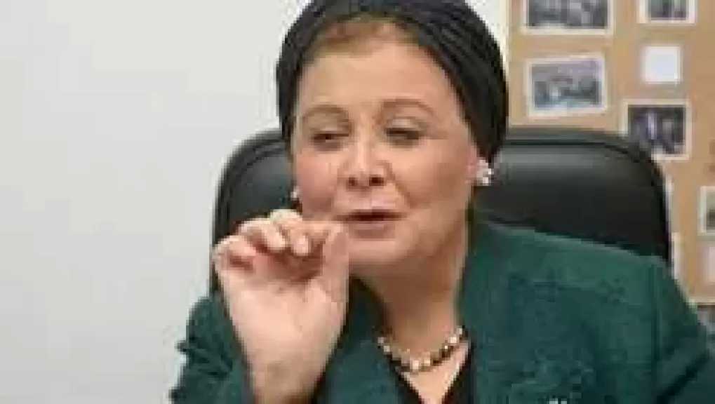 نائب وزير الصحة تبحث التعاون مع الوكالة الفرنسية للتنمية للارتقاء بجودة الخدمات