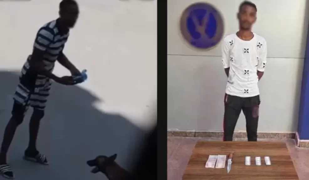 ضبط عاطل للاتجار بالمخدرات والاستعراض بسلاح أبيض في شوارع الإسكندرية
