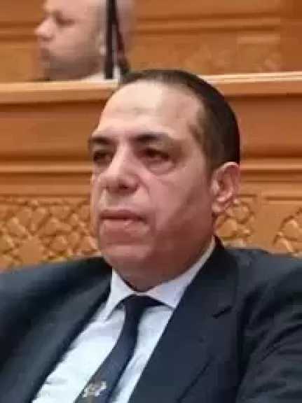 الصافي عبد العال: القاهرة والرياض تتحركان برؤية مشتركة لحماية استقرار المنطقة ومواجهة تداعيات الأزمات
