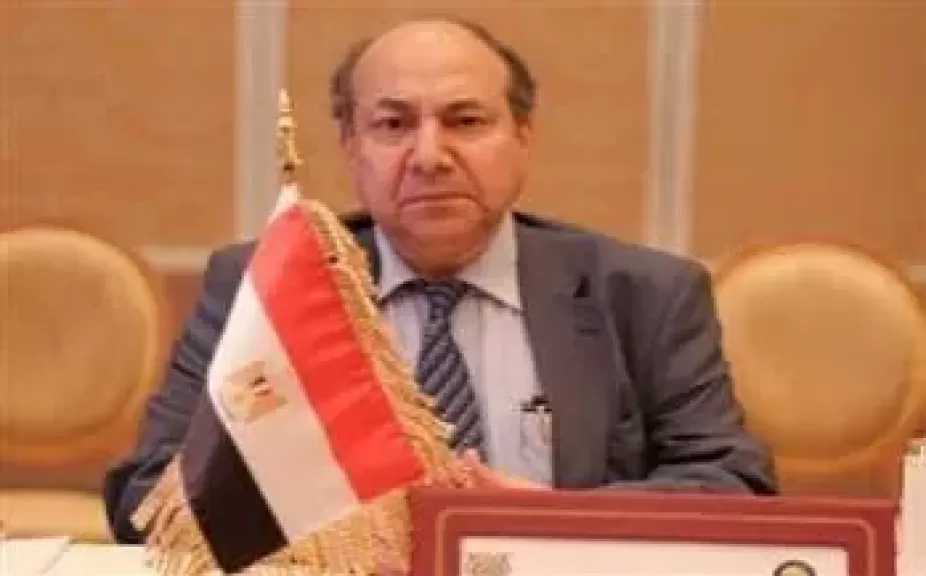 مساعد وزير الخارجية المصري الأسبق: الأزمة اليمنية الآن في مفترق طرق.. فيديو