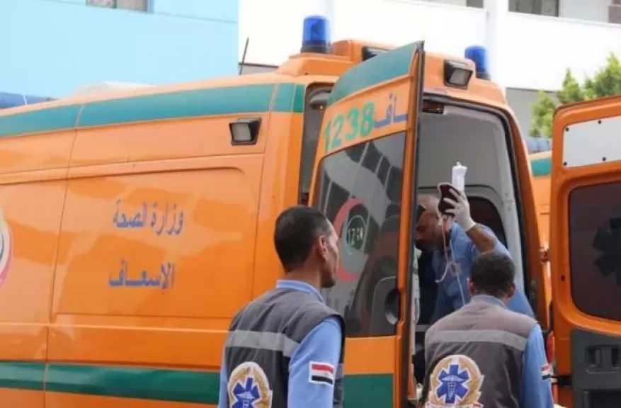 مصرع سيدة وإصابة رضيعة في حادث انقلاب تروسيكل بالدقهلية
