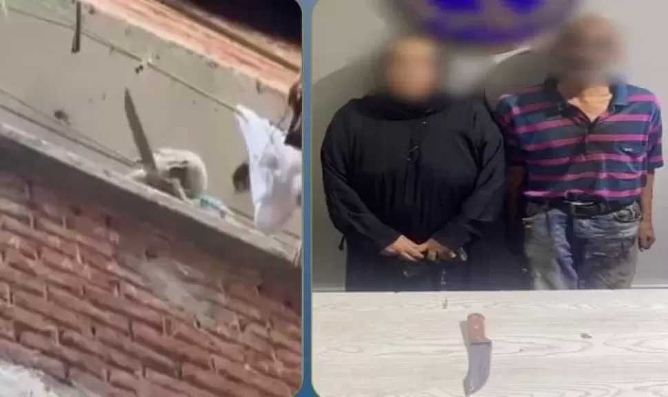 ضبط زوجين بتهمة التعدي على سيدة بالسب والتلويح بسلاح أبيض في الإسكندرية