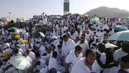 أخبار