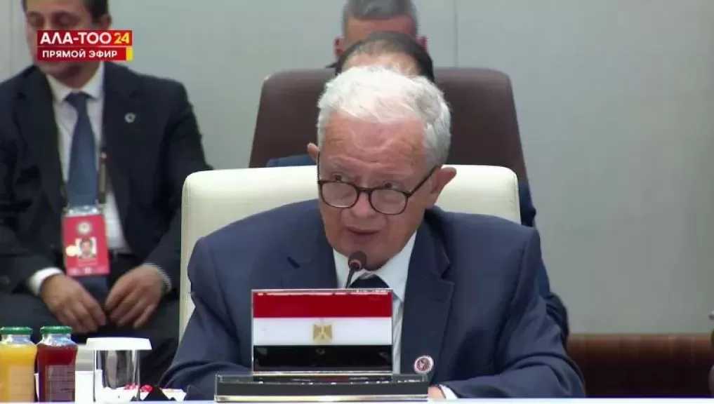 نيابة عن الرئيس السيسي.. نائب رئيس الوزراء يلقي كلمة مصر أمام قمة منظمة شنغهاي للتعاون في بيشكيك
