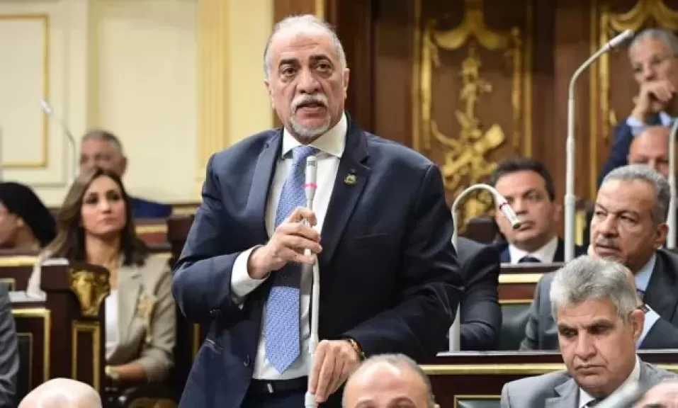 رئيس لجنة حقوق الإنسان بالشيوخ: زيارة الرئيس الصيني لمصر رسالة ثقة دولية
