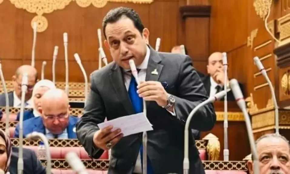 النائب محمد الجندي: زيارة شي جين بينج تضع الاستثمارات الصينية في مصر أمام قفزة تاريخية