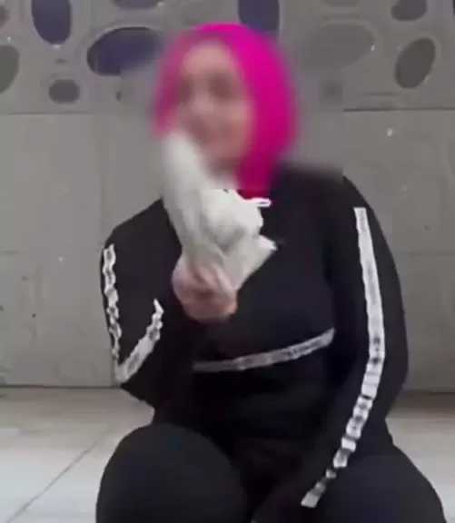 مشاجرة على الأجرة بين سائق نقل ذكي وراكبة من الإسكندرية تنتهي بالتنازل في قسم الهرم