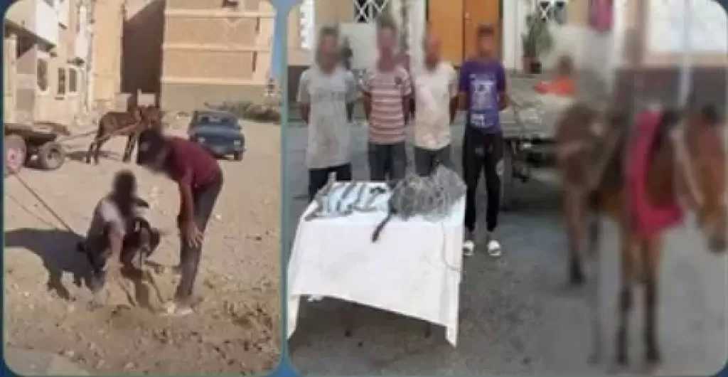 القبض على بائع خردة وعاطلين لاتهامهم بسرقة كابل اتصالات بالسويس