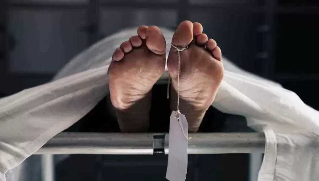مصرع شابين في حادث تصادم بأسوان