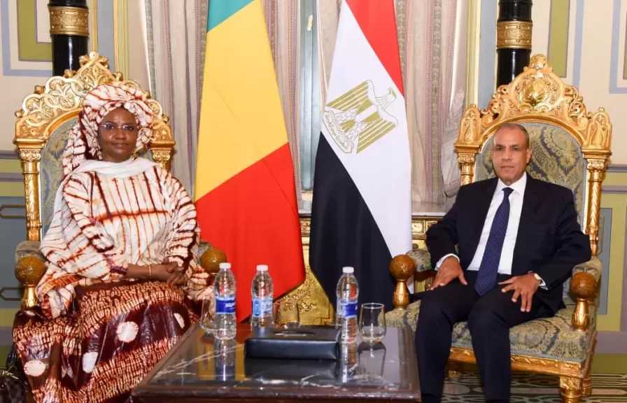 وزير الخارجية يلتقي وزيرة ريادة الأعمال والتوظيف والتدريب بمالي ويبحثان سبل تعزيز التعاون الثنائي