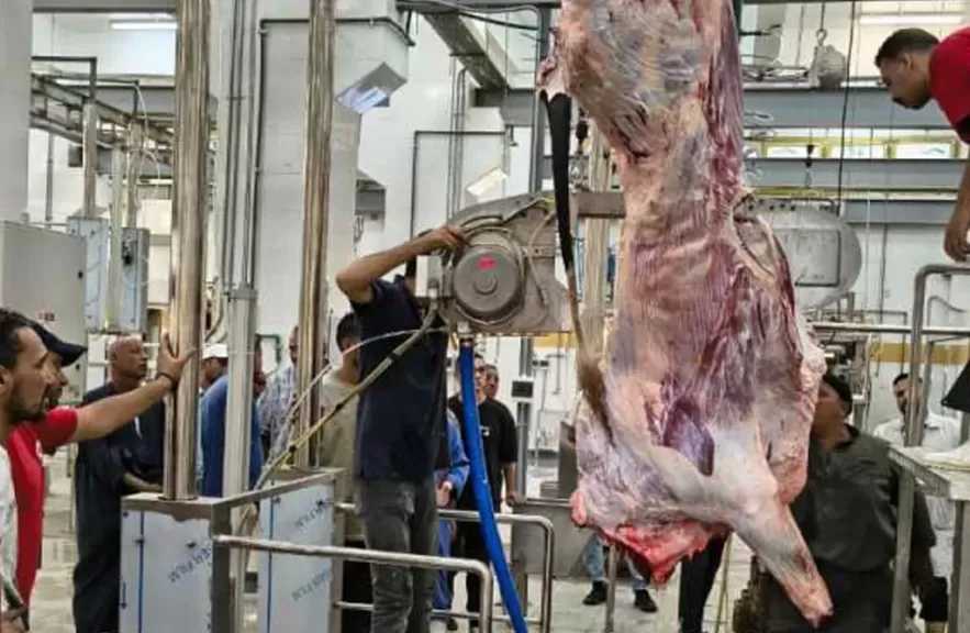 وزيرة التنمية المحلية تعلن التشغيل التجريبي لمجزر العزب بمحافظة الفيوم بتكلفة 60 مليون جنيه