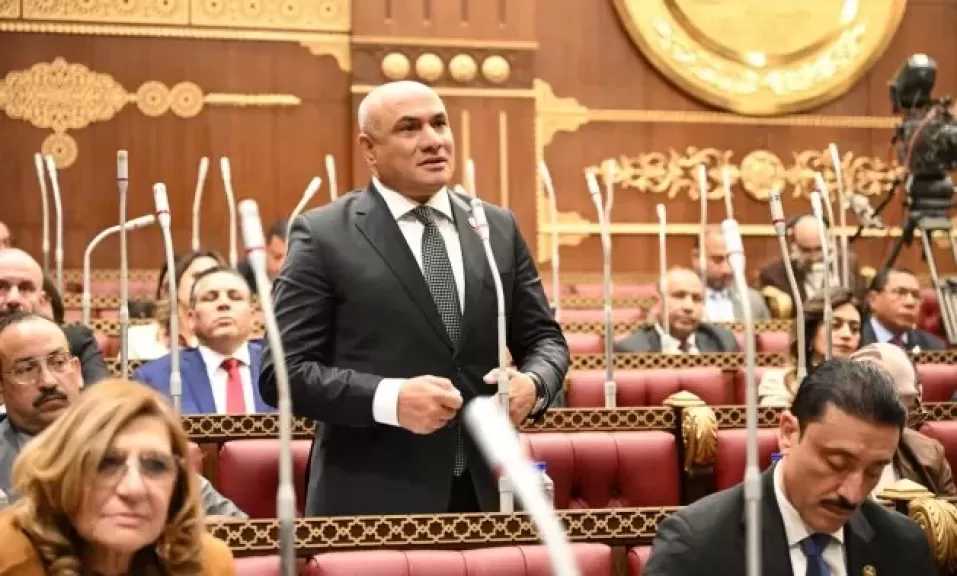 النائب شعبان رأفت: الجماعة الإرهابية تستخدم السوشيال ميديا لبث الرعب