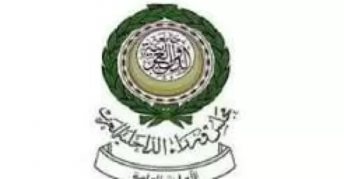مجلس وزراء الداخلية العرب يُدين هجمات الحوثيين على جنوب السعودية وتهديد الملاحة في البحر الأحمر