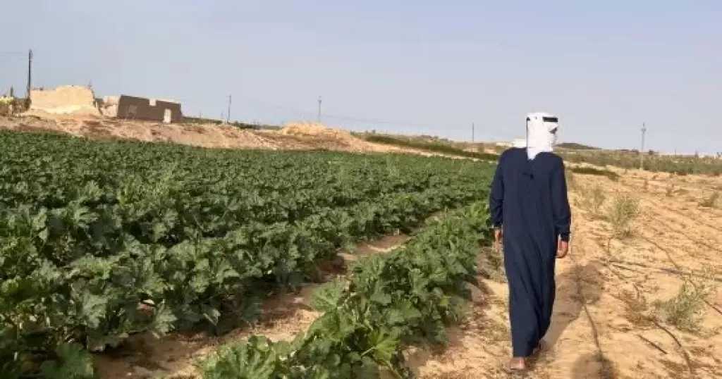 مركز المناخ: انكسار حرارة الصيف وبداية الاستعداد لموسم الزراعة