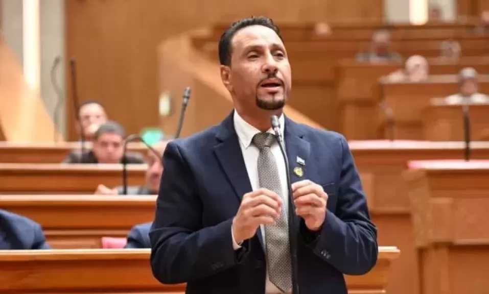 جرجس لاوندي: مصر لا تقف على هامش التحولات الدولية.. والرئيس السيسي يفتح أبوابًا جديدة للشراكة