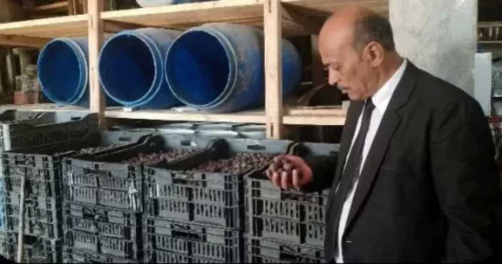 ضبط 22 طن زيتون مخلل غير صالح للاستهلاك الآدمي داخل منشأة غير مرخصة بطنطا