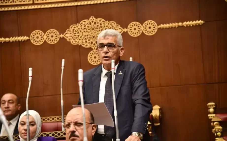 النائب محمد سلامة: مصر والسعودية تمثلان ثقلًا استراتيجيًا للمنطقة