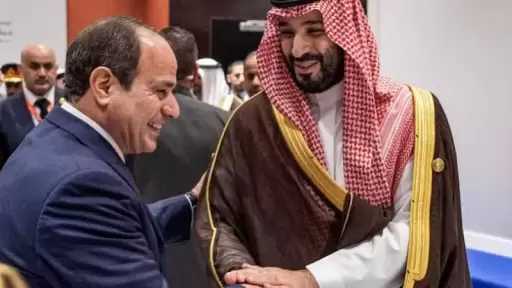 أخبار