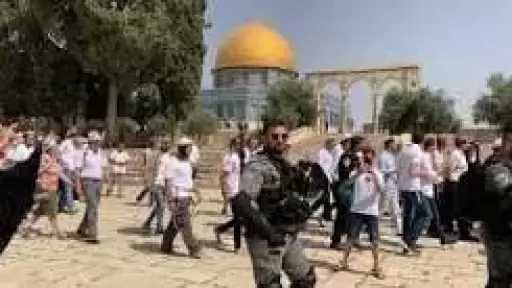 أخبار