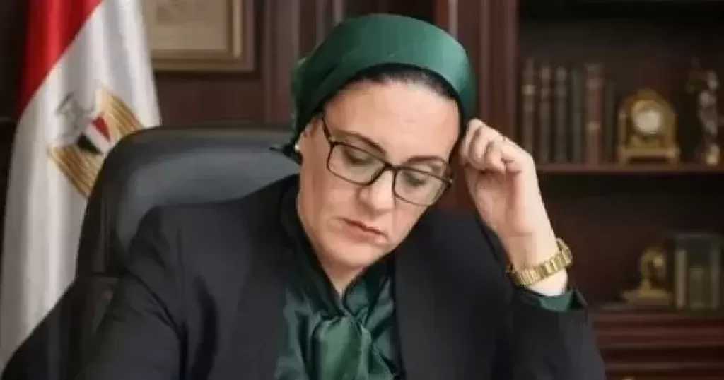 داليا الأتربى: القمة المصرية السعودية تعزز جبهة الاستقرار العربى