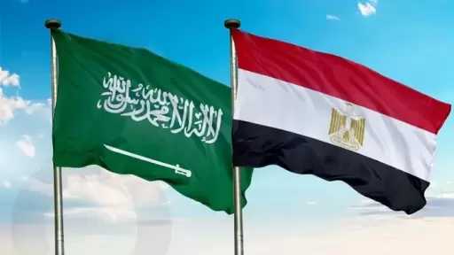 أخبار