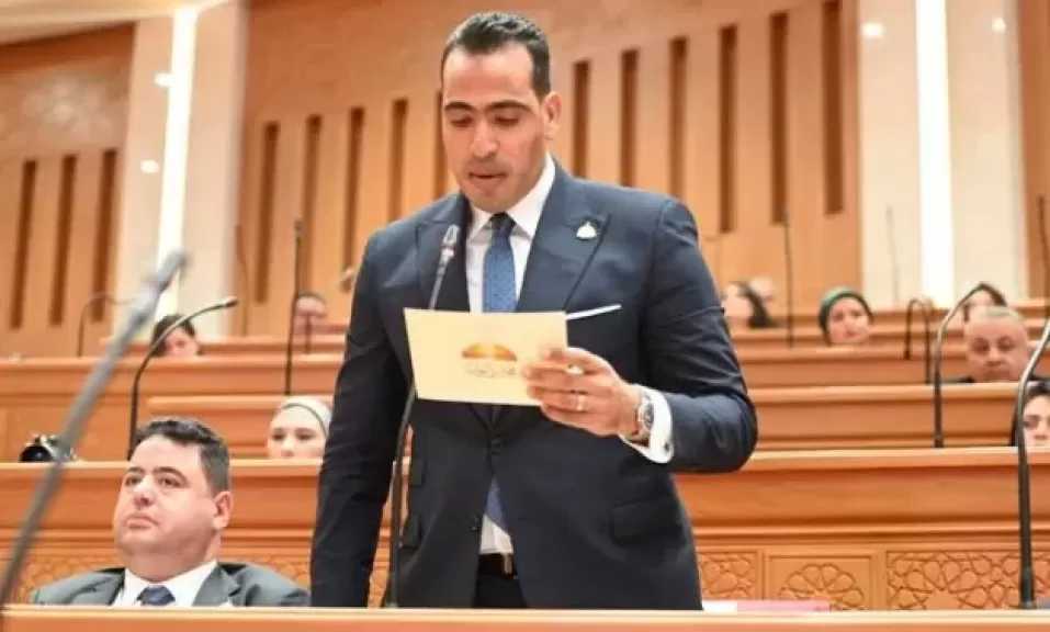 نائب: توجيهات الرئيس بتطوير البنية التحتية التكنولوجية تدعم التحول الرقمى
