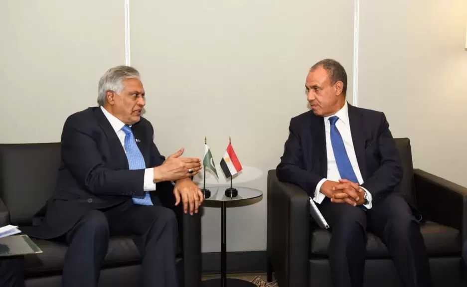 وزير الخارجية يؤكد تطلع مصر إلى استكمال الإجراءات الخاصة بتدشين وتفعيل مجلس الأعمال المصري-الباكستاني