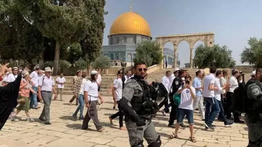«مجلس الإفتاء الفلسطيني» يدين تدنيس رحاب المسجد الأقصى المبارك
