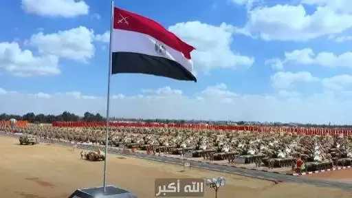 أخبار