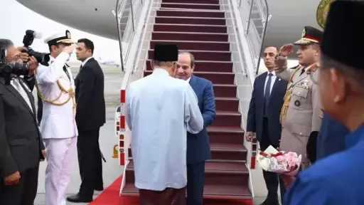 أخبار