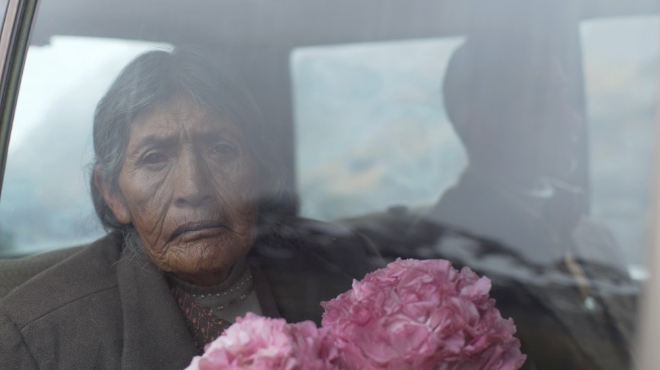 9ba5738b33a51c6553c2f33a2a6f34cc.jpg