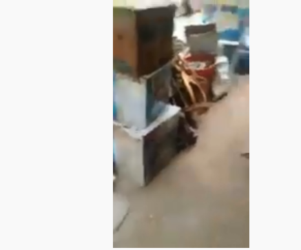 4517285d30d12c978510261c986ec773.PNG