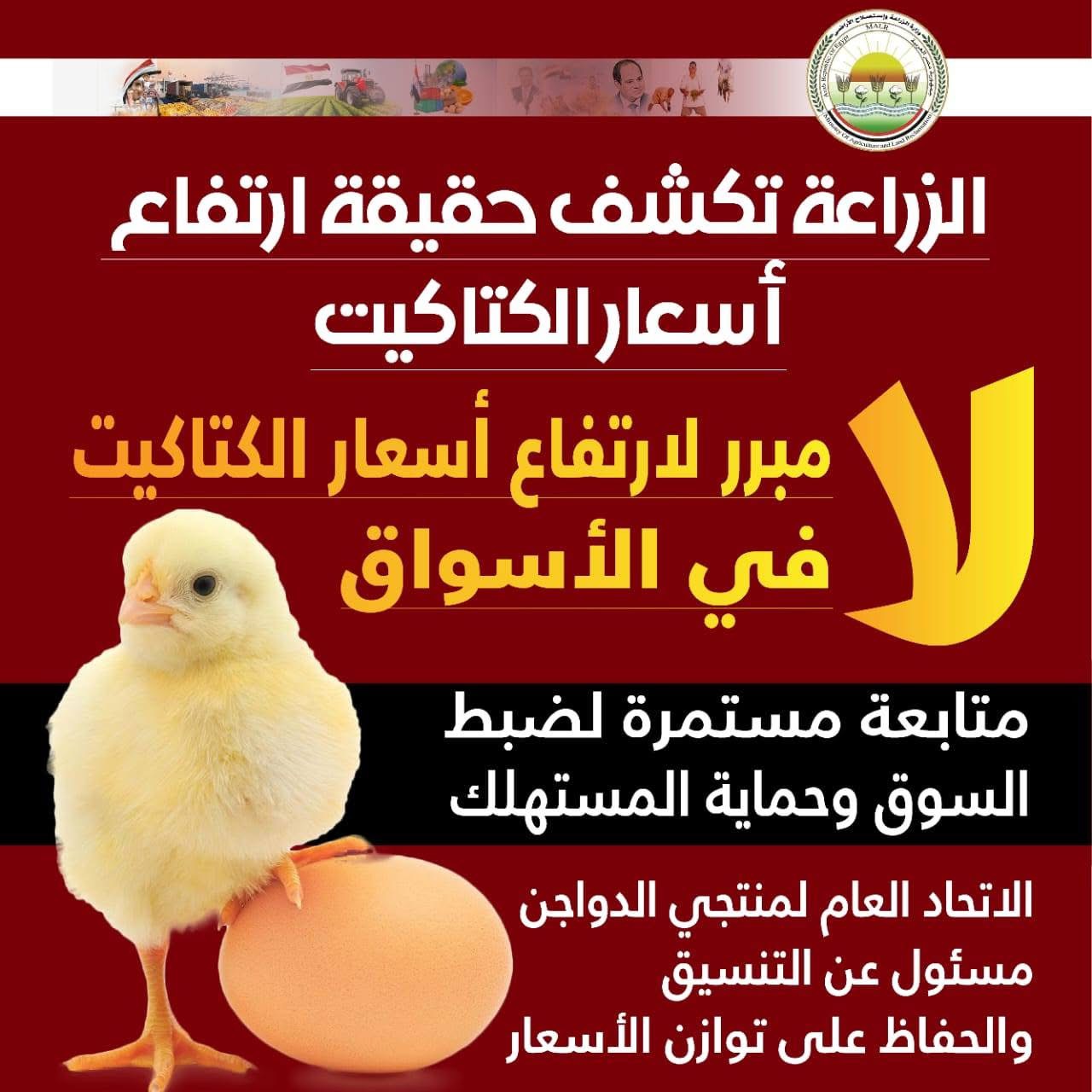 cbe6df78364e.jpeg