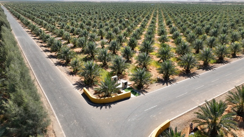 9ec1a816b125.jpeg